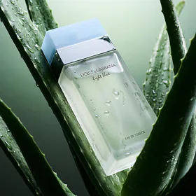 Dolce&Gabbana Light Blue Apă de toaletă pentru femei 100 ml